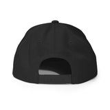 Back view of Ronnie Mac Gradient Snapback Hat showcasing adjustable plastic snap closure in black.